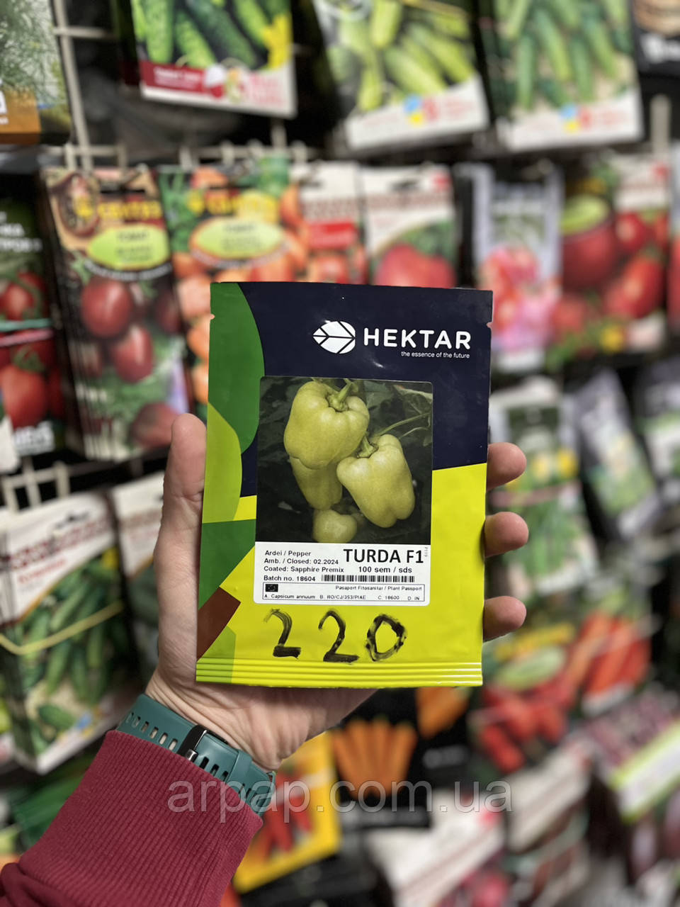 Рець Турда F1 Turda F1 насіння 100 шт Hektar, фото 1