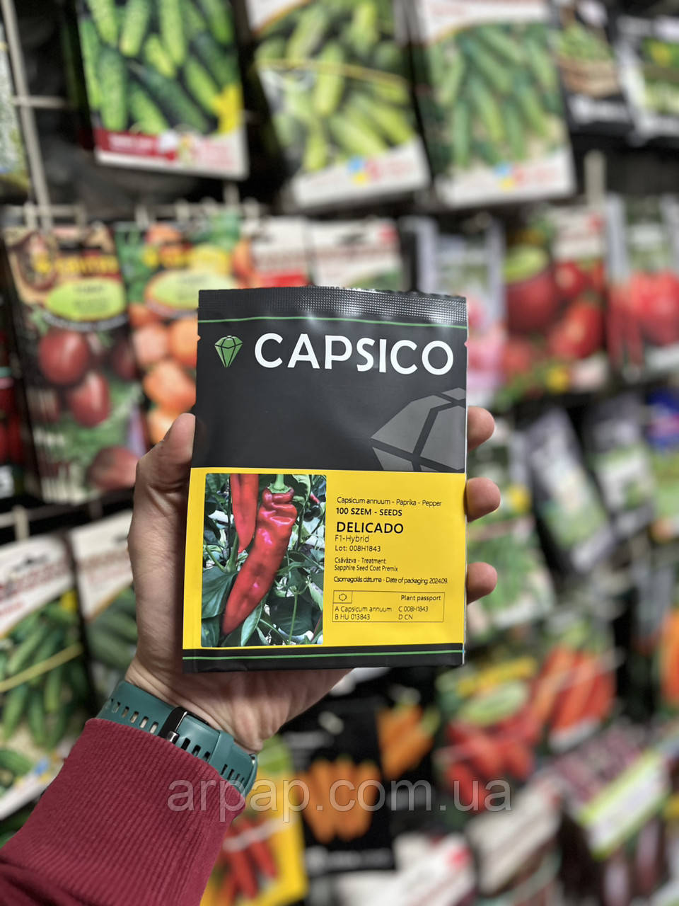 Перець Делікадо F1 Delicado F1 насіння 100 шт Capsico, фото 1