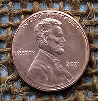 1 цент 2021 року.  США