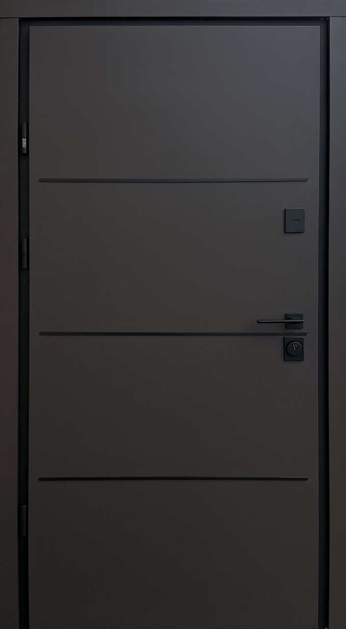 Двері вуличні, Optima Street Plus, модель PARTY D, 3 контури ущільнення