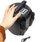 Караоке 2 мікрофони, підсвічування, вбудований акумулятор, Bluetooth, слот для TF-Card, роз’єм type-С, USB-роз’єм, AUX-роз’єм,, фото 2