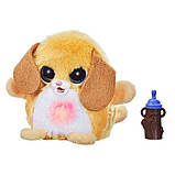 Інтерактивна іграшка Furreal серії Fuzz-A-Lots - Цуценя, фото 3