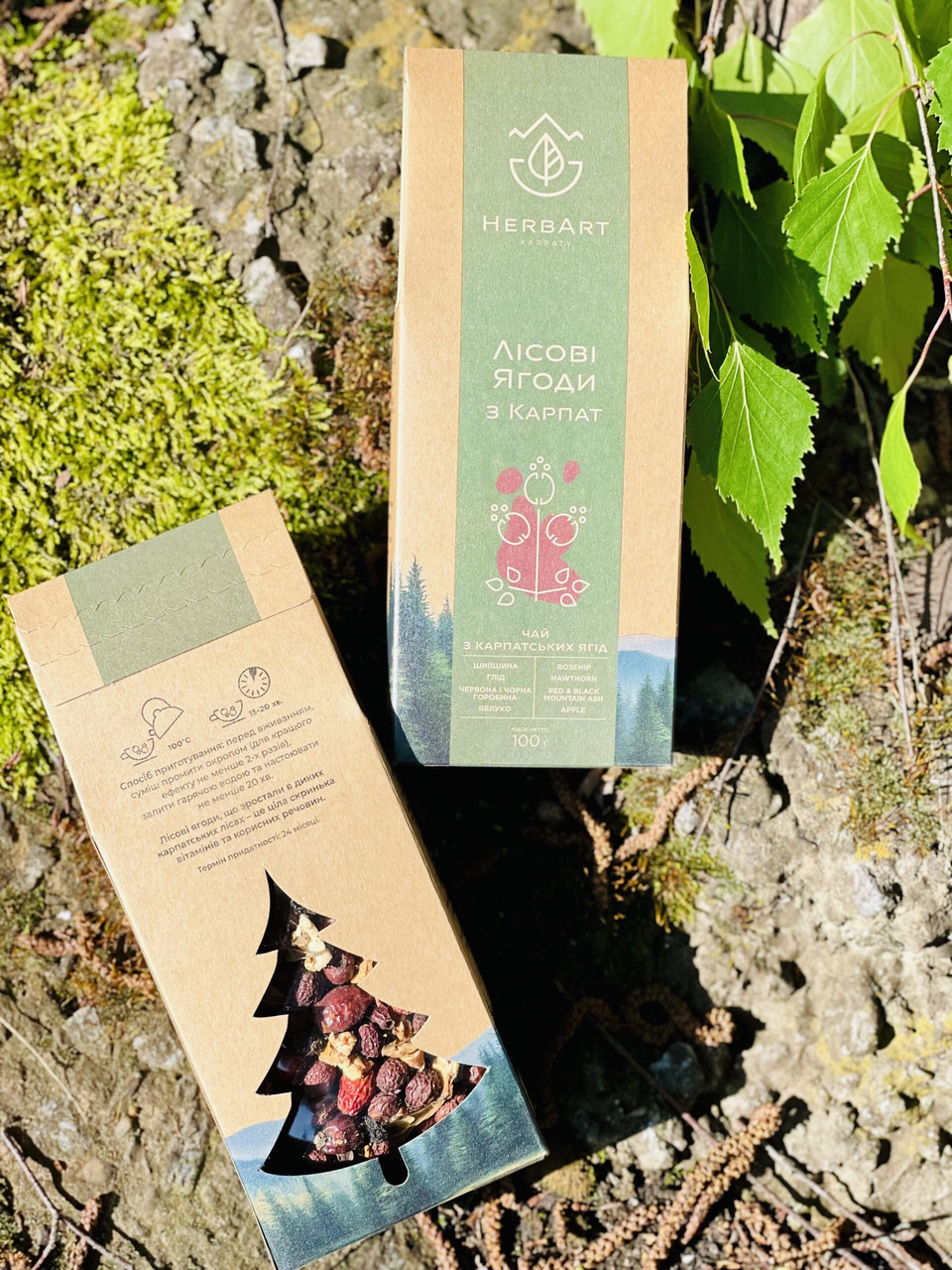 Лісові ягоди з Карпат (ялинка), фото 1