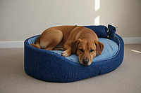 Лежак для собак и котов Джинс синій