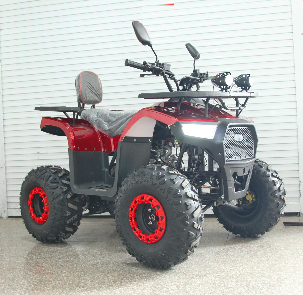 U110 Дорослий бензиновий квадроцикл 125кубів з ланцюговим приводом, 1+1 передача, спідометр, фото 1