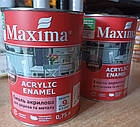 Емаль акрилова для дерева та металу Maxima весняна трава шовковисто-матова 0.75л для зовнішніх і внутрішніх робіт стійка до вологи, фото 7