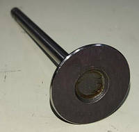 Клапан LANOS 1,6, NEXIA 1,5-1,6 16-кл., Nubira 1.6 впускний "AE" TACUMA 1.6