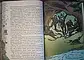 Книга - "Робін Гуд" Говард Пайлн (Уцінка), фото 6