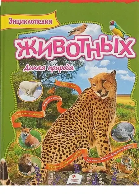 Книга - Енциклопедія тварин. Дика природа (Уцінка), фото 1