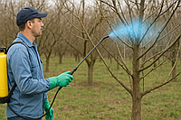 Все про обробку мідним купоросом! Позбавляємося хвороб у саду