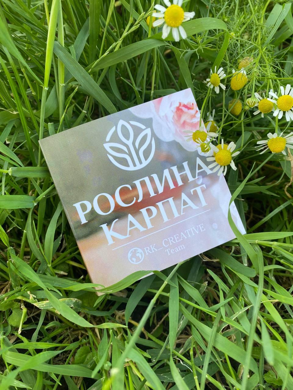 Візитка (80х80 мм) з логотипом для стоматології 100 шт., фото 1