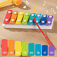 Игра HOLA стучалка и ксилофон HE792700, фото 2