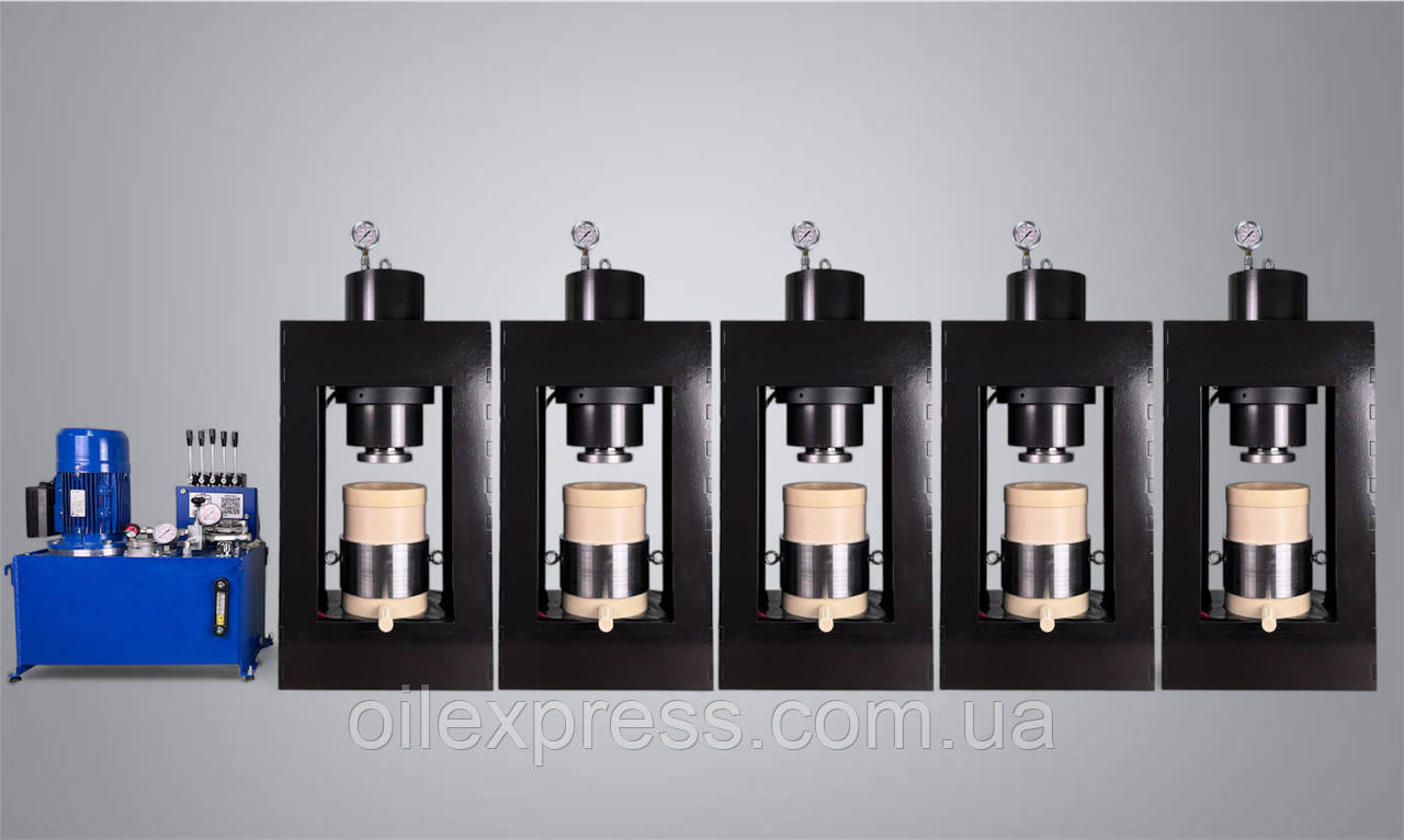 Професійний прес для олії 65 тонн холодного пресування капролон "Professional" OilExpress