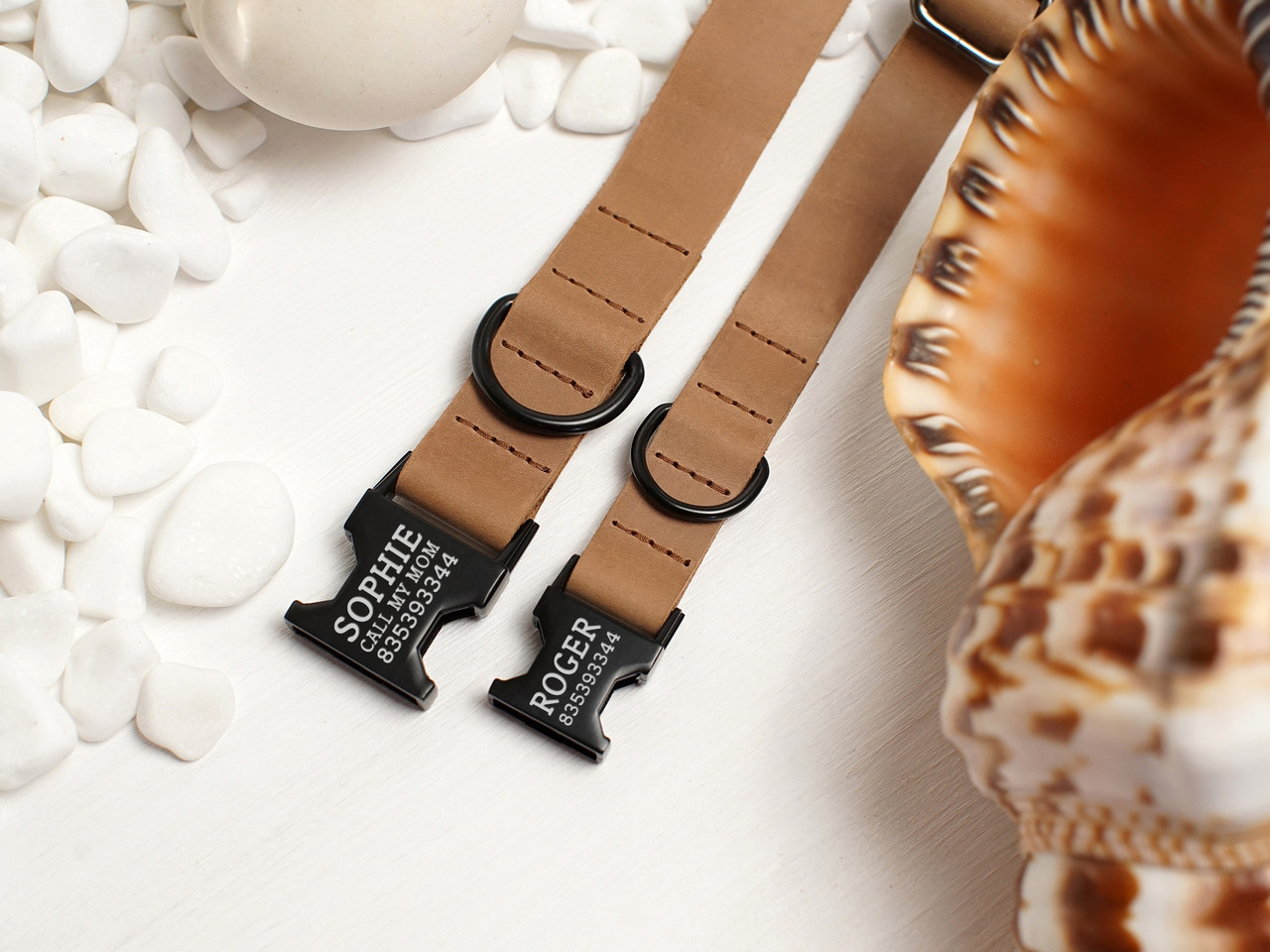 Нашийник для собак BronzeDog Crazy шкіряний плоский фастекс Бежевий XS, фото 1