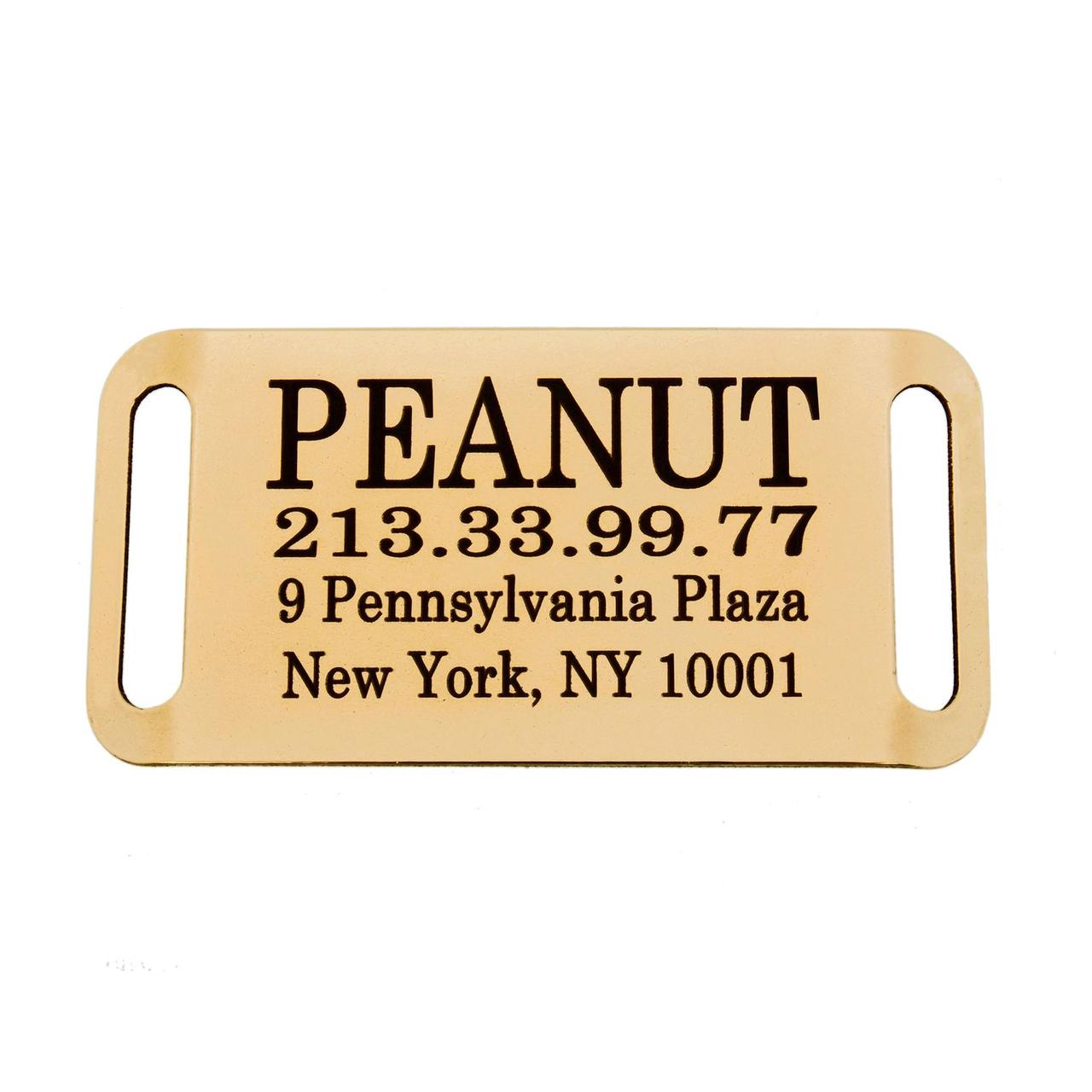 Адресник для Собак BronzeDog з Латуні Слайдер Закритий S, фото 1