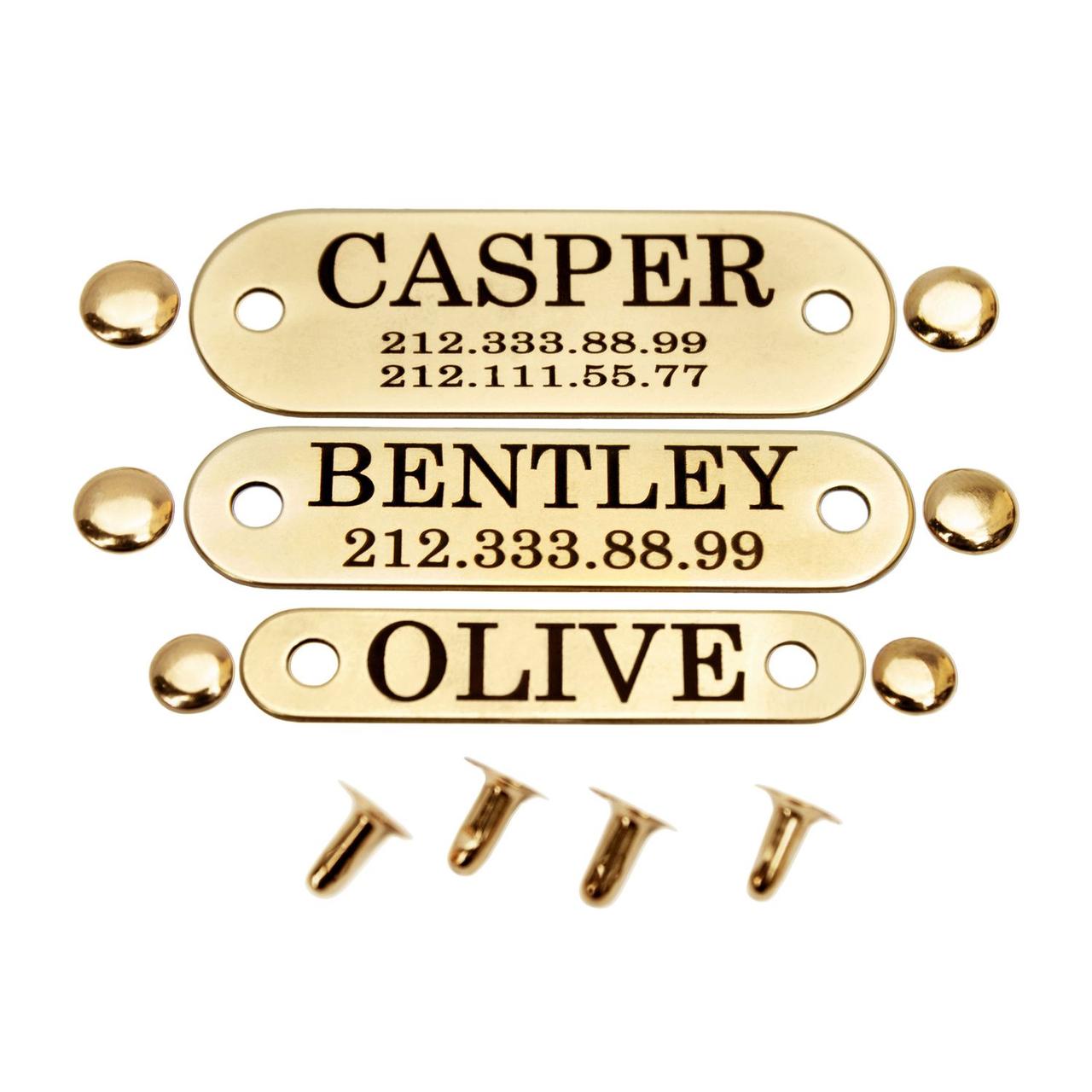 Адресник для Собак BronzeDog Позолота на Заклепках XS, фото 1