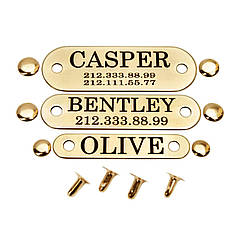 Адресник для Собак BronzeDog Позолота на Заклепках Гнучка XS