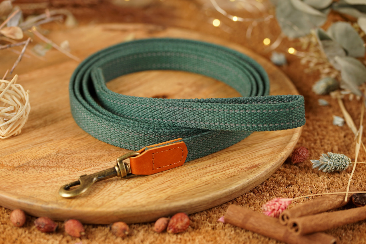 Повідець для собак BronzeDog Брезент з карабіном Antiq Зелений S, фото 1