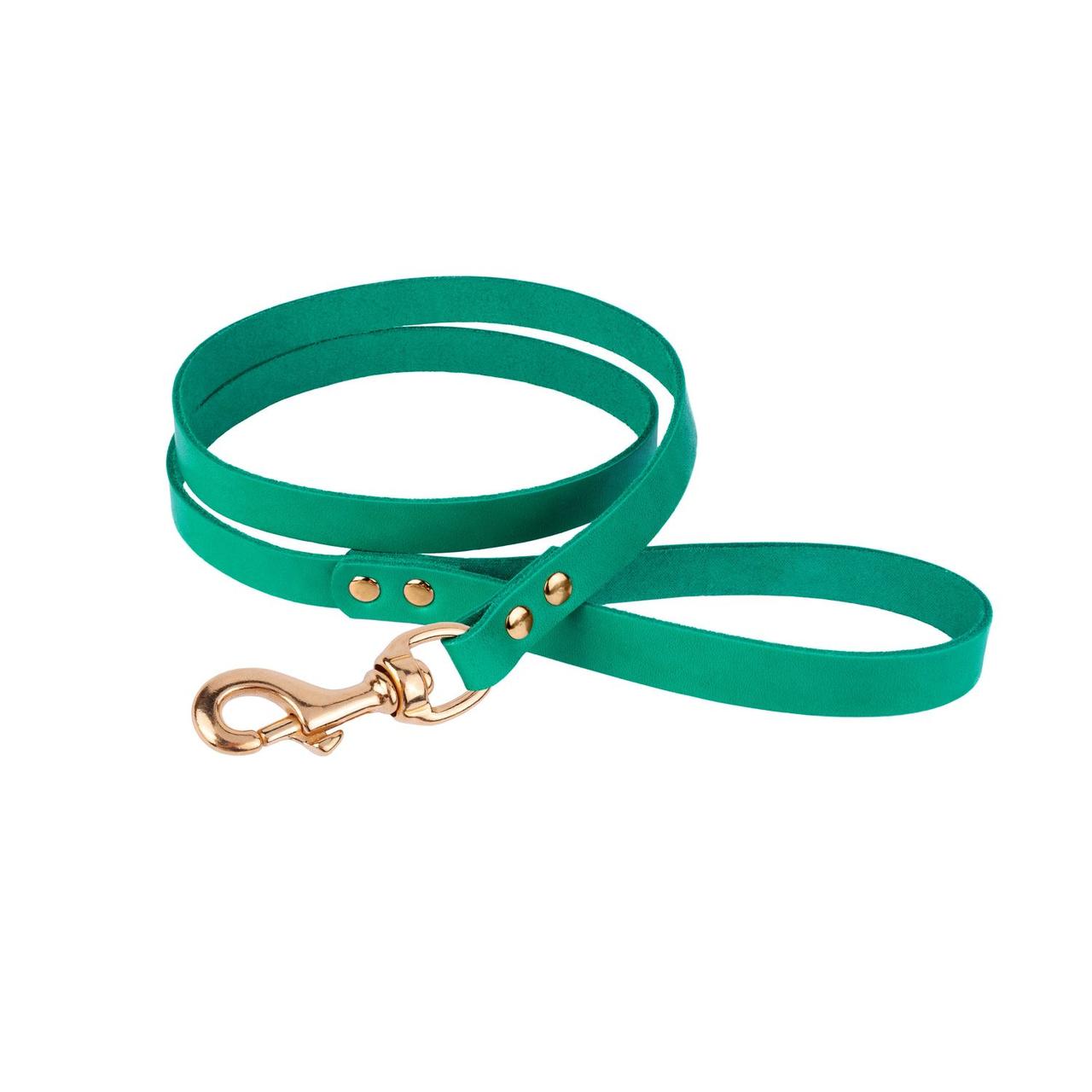 Повідець для Собак Шкіряний BronzeDog Premium з Літою Латунною Фурнітурою Бірюзовий S, фото 1