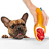 Іграшка для Собак Barksi Окіст, фото 4
