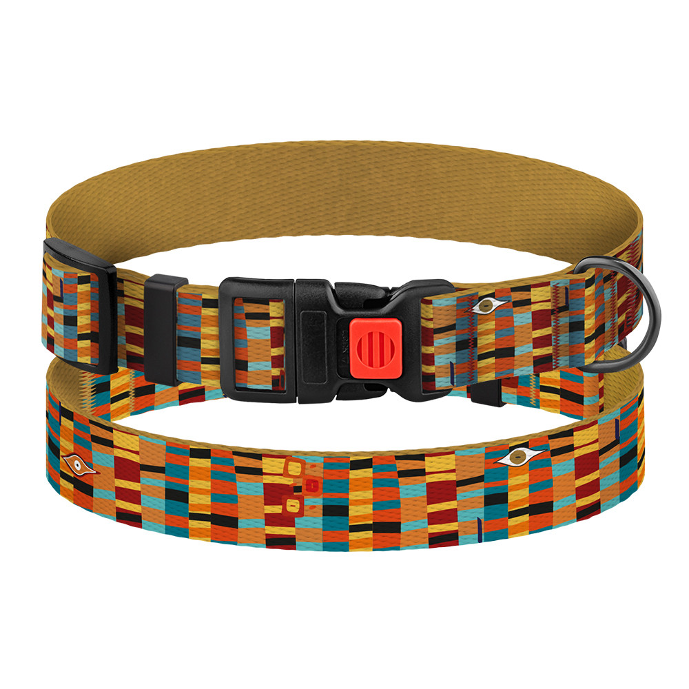 Нашийник для Собак BronzeDog Urban Art Нейлоновий з Пластиковою Пряжкою Алекса S, фото 1