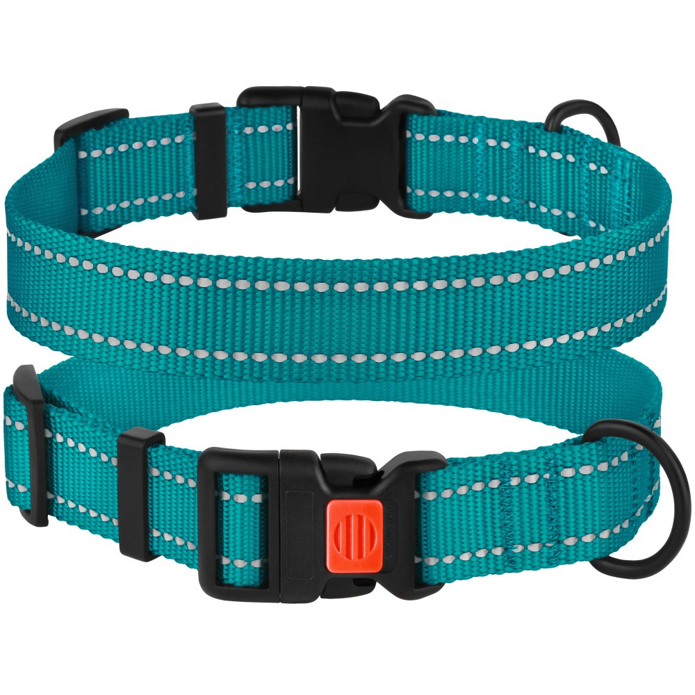Нашийник для Собак BronzeDog Active Нейлоновий зі Світловідбиттям та Пластиковою Пряжкою Бірюзовий S, фото 1