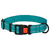 Нашийник для Собак BronzeDog Active Нейлоновий зі Світловідбиттям та Пластиковою Пряжкою Бірюзовий S, фото 2
