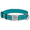 Нашийник для Собак BronzeDog Active Нейлоновий зі Світловідбиттям та Металевою Пряжкою Бірюзовий S, фото 2