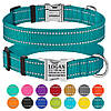 Нашийник для Собак BronzeDog Active Нейлоновий зі Світловідбиттям та Металевою Пряжкою Бірюзовий S, фото 5