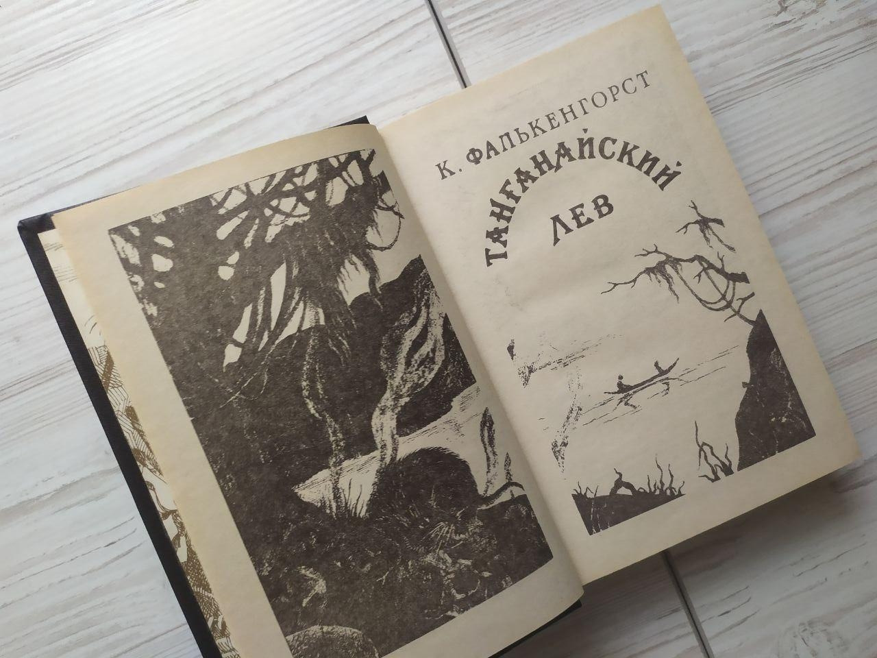 Product image preview