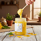 Мед соняшниковий 2025 року, 700 г - 550 мл / Соняшниковий мед / Мед соняшнику, фото 3