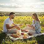 Мед соняшниковий 2025 року, 700 г - 550 мл / Соняшниковий мед / Мед соняшнику, фото 6