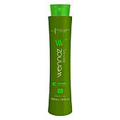 Нанопластика для волосся Wennoz Brasil (Honma Tokyo) Collagen Bio Coconut Discipline, 200 г (розлив)