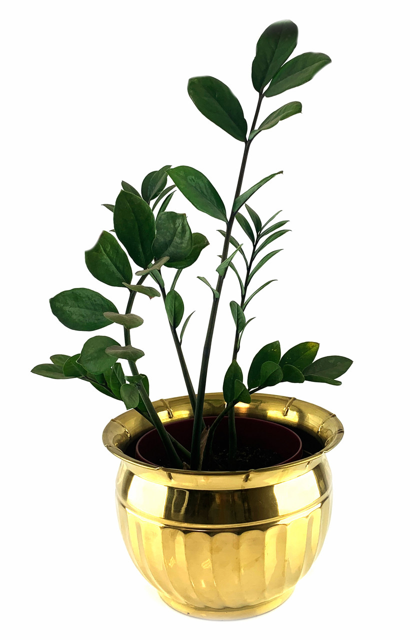 Кашпо «Золота Розкіш» (18х25,5 см)