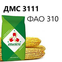 ДМС 3111 (ФАО 310) - насіння кукурудзи. МАЇС