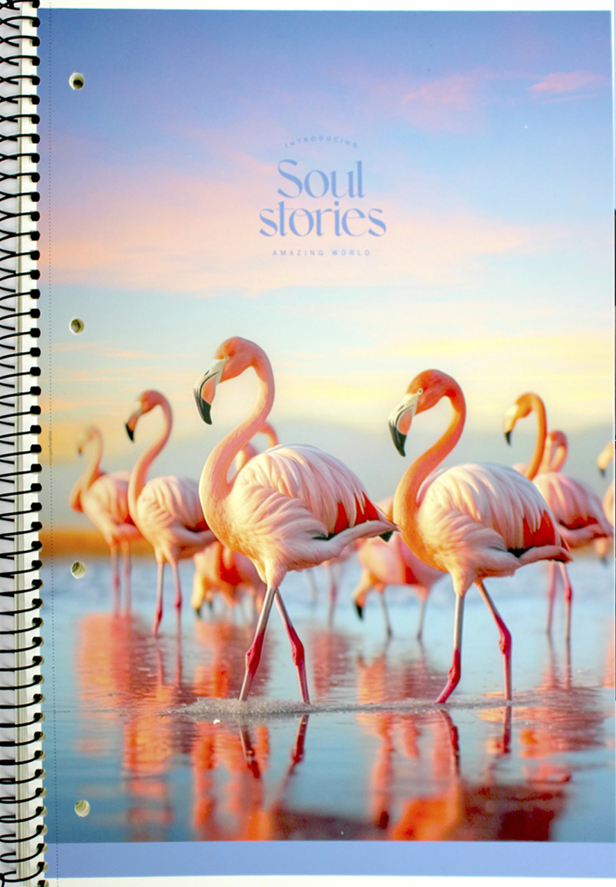 Коледж-блок А4+ 80арк. лін. мат. лам.,кремовий блок №A4-080-6711L/Школярик/(4)(36), фото 1