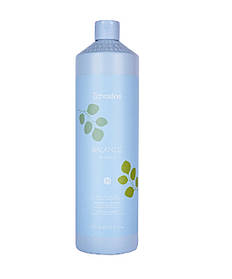 Шампунь Echosline Balance Vegan для балансу жирної шкіри голови 1л (8008277245829)