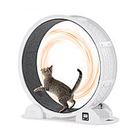 Vevor 313601 Колесо для вправ для котів, 115 x 39,5 x 109 см, Колесо для вправ для котів з гальмом та килимовою доріжкою, Бігова