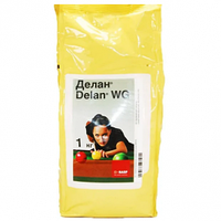 Фунгіцид Делан 1кг, Basf
