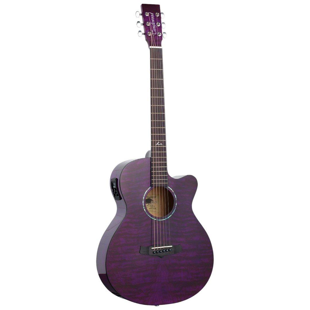 Електроакустична гітара TANGLEWOOD TA4 CE PU