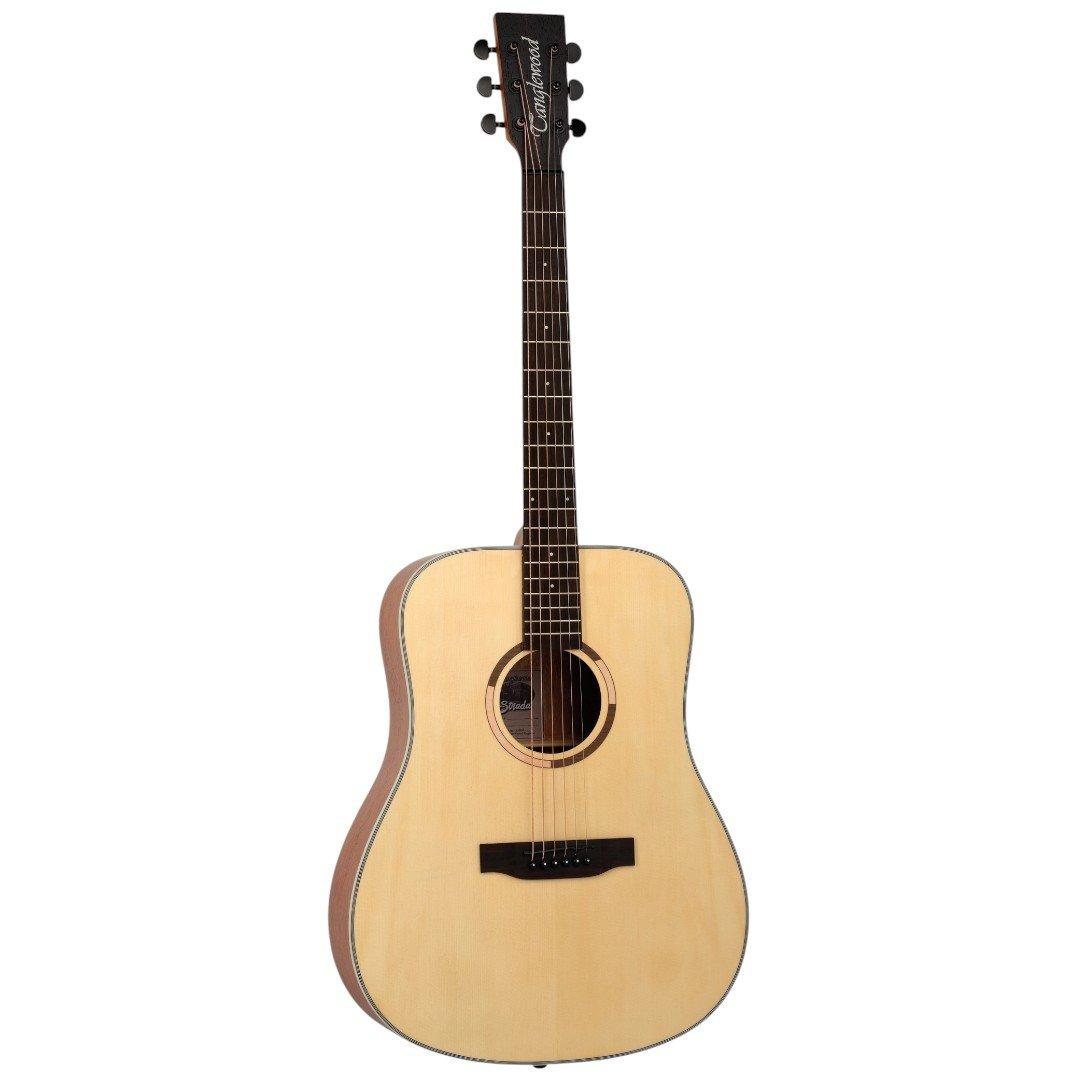 Акустична гітара TS5