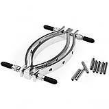 Затискач для статевих губ, аксесуар з повідцем Labia Clamps медична сталь сріблястий, фото 4