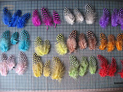 Перо цісарки, від 4 до 8 см