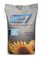 Соняшник Ласса Екстра (Під Євролайтнінг,  Олійність 52 %) врожай 2025 року