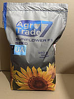 Соняшник Каскара Екстра (Під Гранстар, Вовчок 7+, Олійність 52 %)