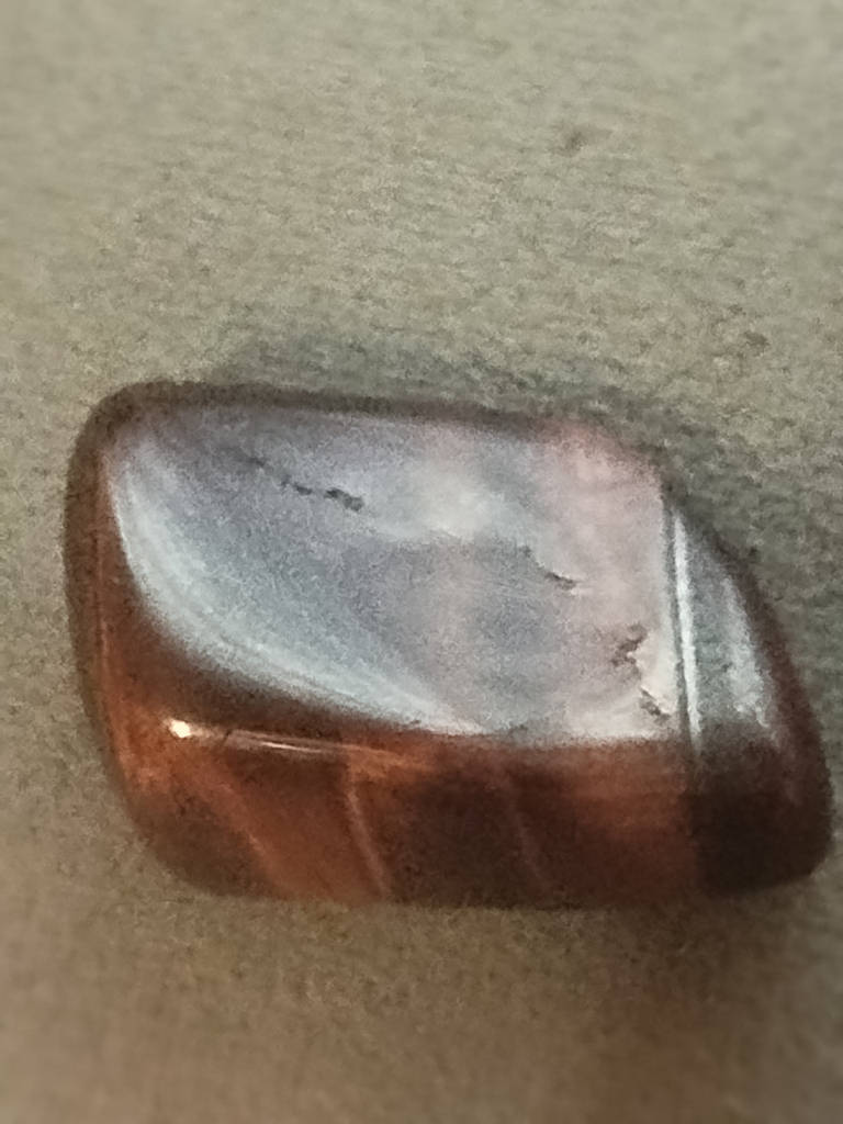 Буйволіний/бучий око природний, великий - фото покупців 1