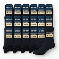 Шкарпетки 30 пар "Житомир" 85% бавовна + льон чорні 42-45р