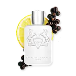 Parfums de Marly Galloway парфумована вода 125 ml. (Парфум де Марлі Геловей), фото 2