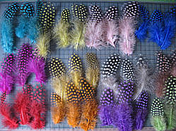 Перо цісарки, від 8 до 14 см