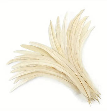 Перо півня (виберіть довжину), ширина 2,5 см, колір Ivory, 1 шт.